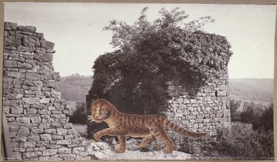 Tiger, Tiger, ca 1938 (collage) av Paul Nash