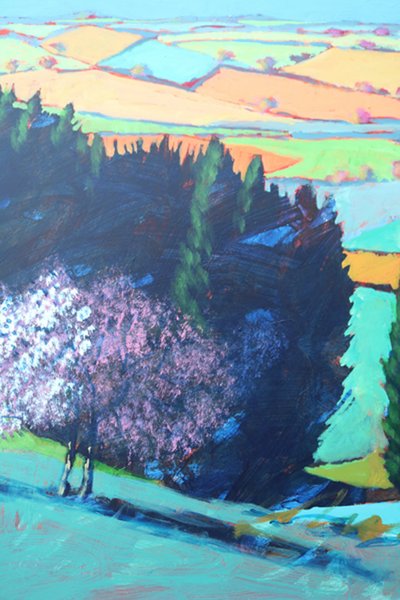 Teme Valley blossom close up 1 (akryl ombord) av Paul Powis