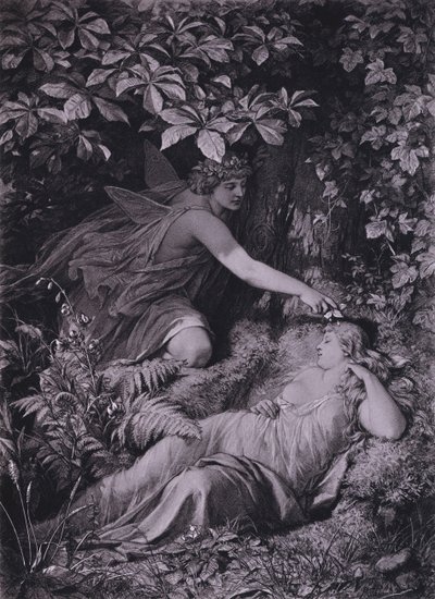 Scen ur Shakespeares En midsommarnattsdröm (akt IV, scen 1) (litho) av Friedrich Paul Thumann