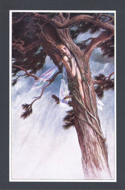 Hon spärrade in dig, med hjälp av sina mest kraftfulla predikanter och i sitt mest oförlåtliga raseri, i en kluven tall, illustration från The Tempest, 1908 av Paul Vincent Woodroffe