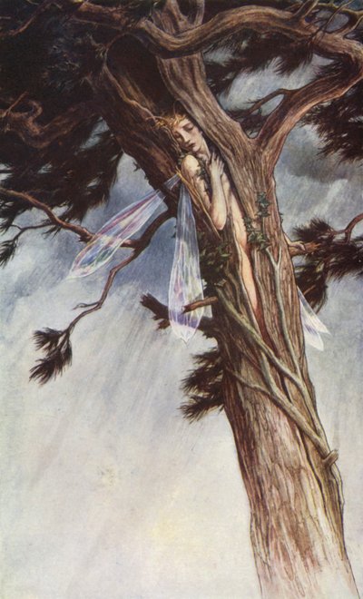 The Tempest av William Shakespeare, Akt I, Scene 2 (färg litho) av Paul Vincent Woodroffe