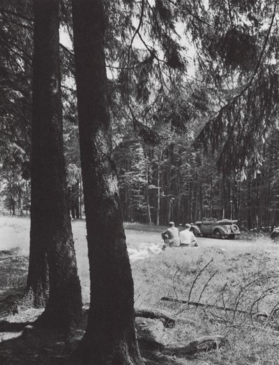 En vilopaus i en skog, Bayern (svartvitt foto) av Paul Wolff