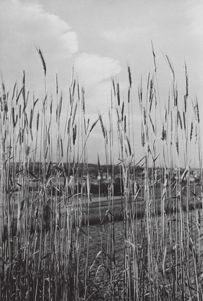 På den bayerska landsbygden (svartvitt foto) av Paul Wolff