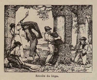  av Paul de Laubadere