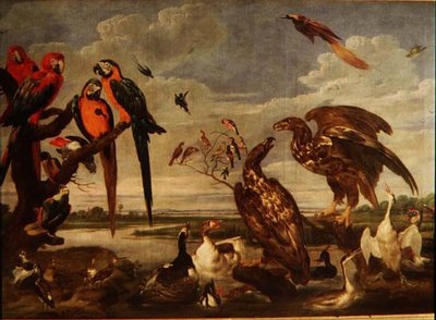 131-0059359 Variety of Birds av Paul De Vos