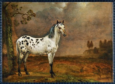 Le cheval pie - den fläckiga hästen ... av Paulus (attr.to) Potter