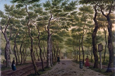 Herepaden i Haagse Bos av Paulus Constantin La Fargue