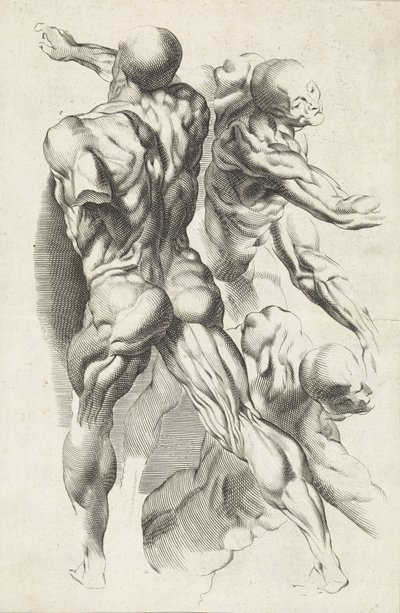 Anatomisk studie av tre figurer med utsträckta armar Ritboken av Peter Paul Rubens (serietitel) av Paulus Pontius