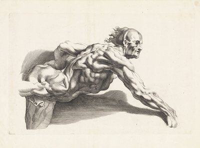 Anatomisk studie av lutande människa Ritboken av Peter Paul Rubens (serietitel) av Paulus Pontius