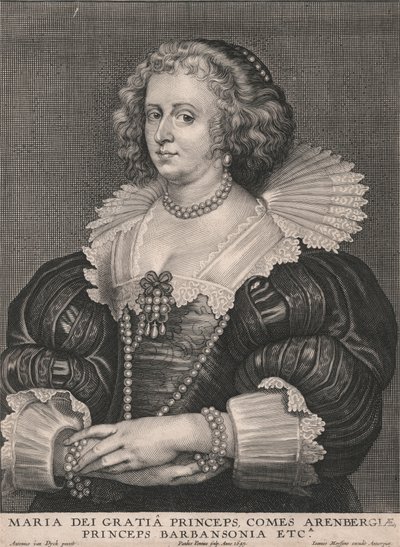 Prins Maria dei Gratia, greve av Arenbergia, prins av Barbansonia, etc. av Paulus Pontius