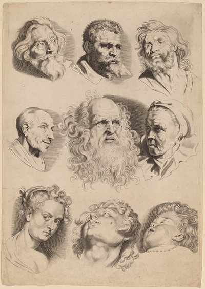 Nio huvuden av Paulus Pontius after Sir Peter Paul Rubens