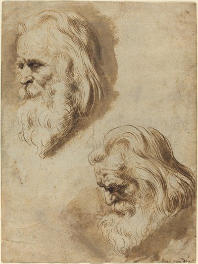 Två studier av en äldre mans huvud av Paulus Pontius after Sir Peter Paul Rubens