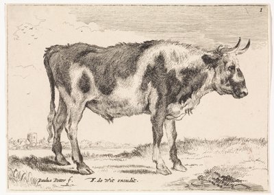 Fläckig oxe Oxar and Cows (serietitel) av Paulus Potter (rejected attribution)