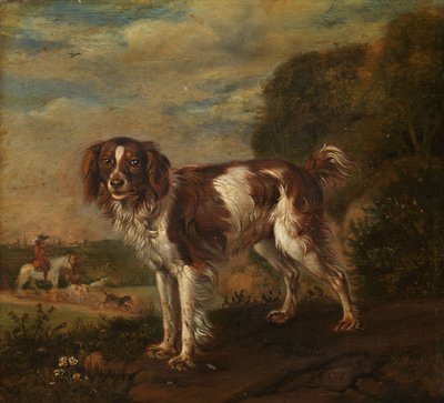 En spaniel av Paulus Potter