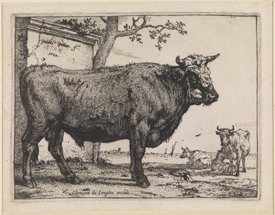 Tjuren av Paulus Potter