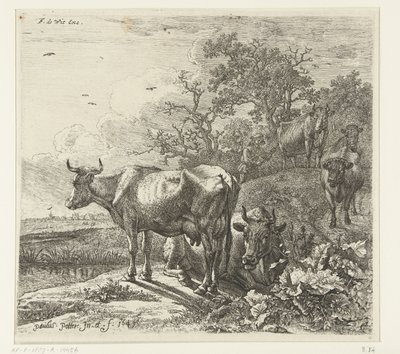 herden av Paulus Potter