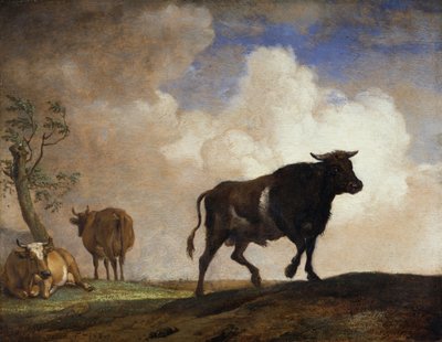 Tjuren av Paulus Potter