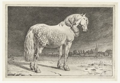 Den friesiska hästen Hästar (serietitel) av Paulus Potter