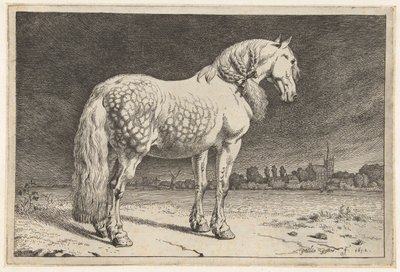 Den friesiska hästen Hästar (serietitel) av Paulus Potter