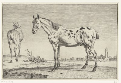 Den dockade hästen Hästar (serietitel) av Paulus Potter