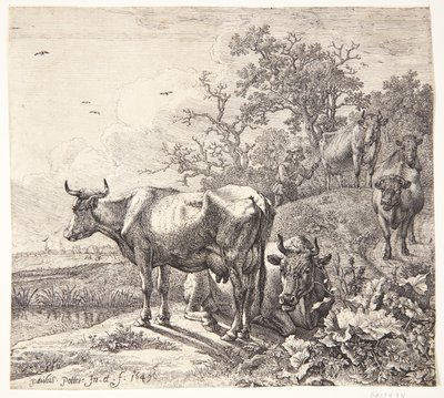 Kohjorden av Paulus Potter