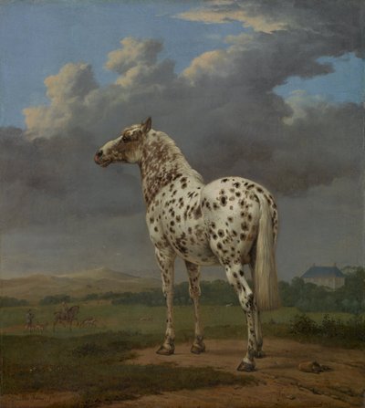 Piebald Horse, ca 1654 av Paulus Potter