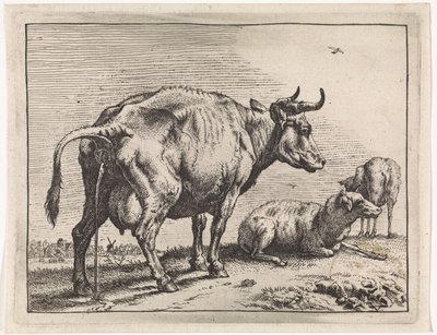pissande ko The Bullen-häftet (serietitel) av Paulus Potter