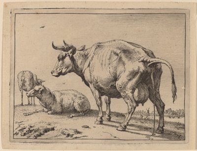 Pissande ko av Paulus Potter