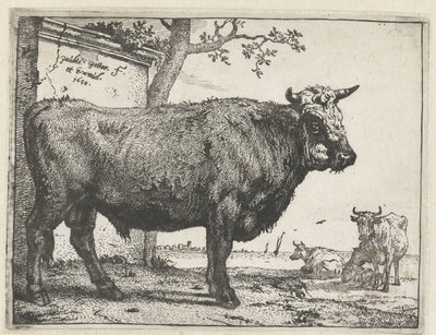 Oxen The Bull Book (serietitel) av Paulus Potter