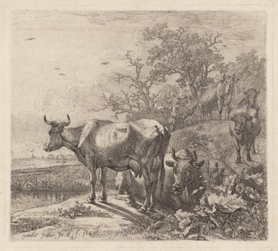 Koherden av Paulus Potter