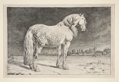 Frieslandhästen av Paulus Potter