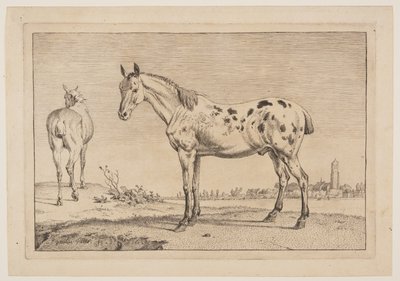 The Neighing Horse, från Serie av hästar av Paulus Potter