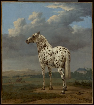 Den "piebaldfärgade" hästen av Paulus Potter