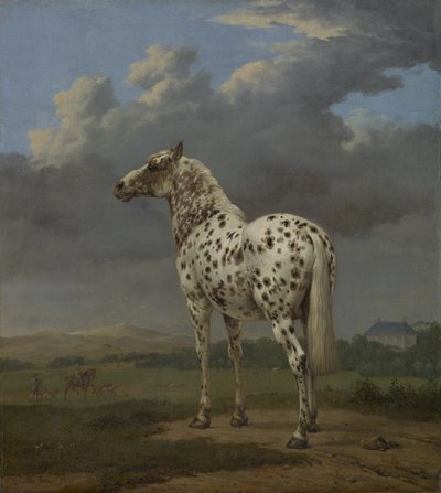 The "Piebald" Horse, c.1650-4 (olja på duk) av Paulus Potter