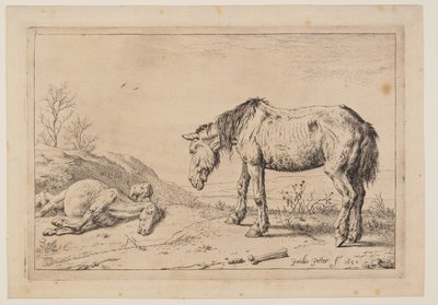Den utslitna hästen, (La Mazette), från Serie av hästar av Paulus Potter
