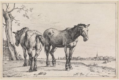 Två ploghästar av Paulus Potter