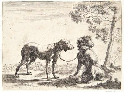 Två hundar sammanbundna av Paulus van Hillegaert (II)