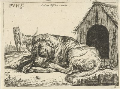 swedish av Pauwels van Hillegaert