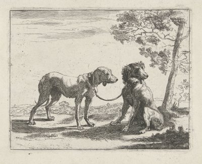 Två hundar Hundar (serietitel) av Pauwels van Hillegaert