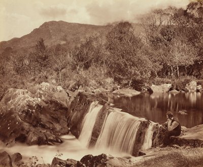 Vattenfall, County Wicklow,ca. 1870 (foto) av Payne Jennings