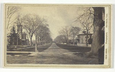 Hillhouse Avenue av Peck Brothers