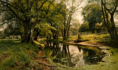 Stilla vatten i skogen av Peder Monsted