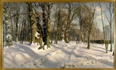 Snöig vinterskog i solljuset av Peder Monsted