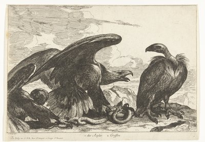 Gam och en örn med orm 1. des Aigles 2. Griffon (titel på objekt) Fåglar från menageriet i Versailles (serietitel) av Peeter Boel (attributed to)