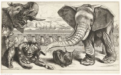 Elefanter, lejon och lodjur i Versailles trädgårdar av Peeter Boel (attributed to)