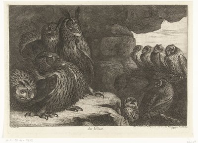 Ugglor i en grotta des Ducs (titel på objekt) Fåglar från menageriet i Versailles (serietitel) av Peeter Boel (attributed to)
