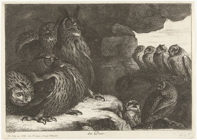 Ugglor i en grotta des Ducs (titel på objekt) Fåglar från menageriet i Versailles (serietitel) av Peeter Boel (attributed to)