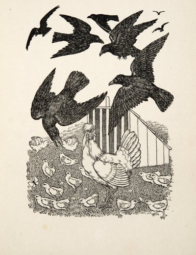 En beräknande kråka, från Hundra anekdoter av djur, pub. 1924 av Percy J. Billingshurst