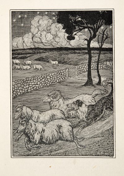 En hundfårstjälare, från Hundra anekdoter av djur, pub. 1924 av Percy J. Billingshurst