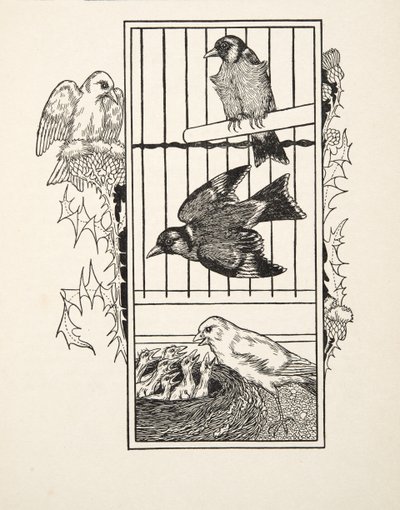 En välgörande kanariefågel, från A Hundred Anecdotes of Animals, pub. 1924 av Percy J. Billingshurst